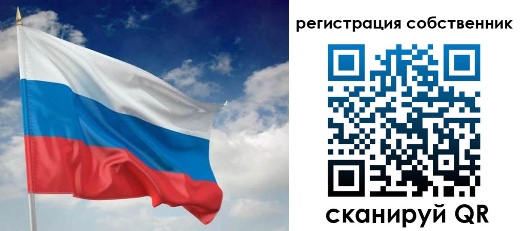 временная регистрация для школы в Полярных Зорях